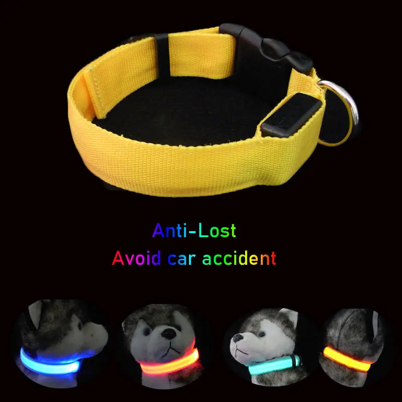 LED Dog Collar Light Big Cat Pet Small Charm Dark Night Safety Light-up Flashing USB Charge Anti Lost Nylon For Chihuahua Leash