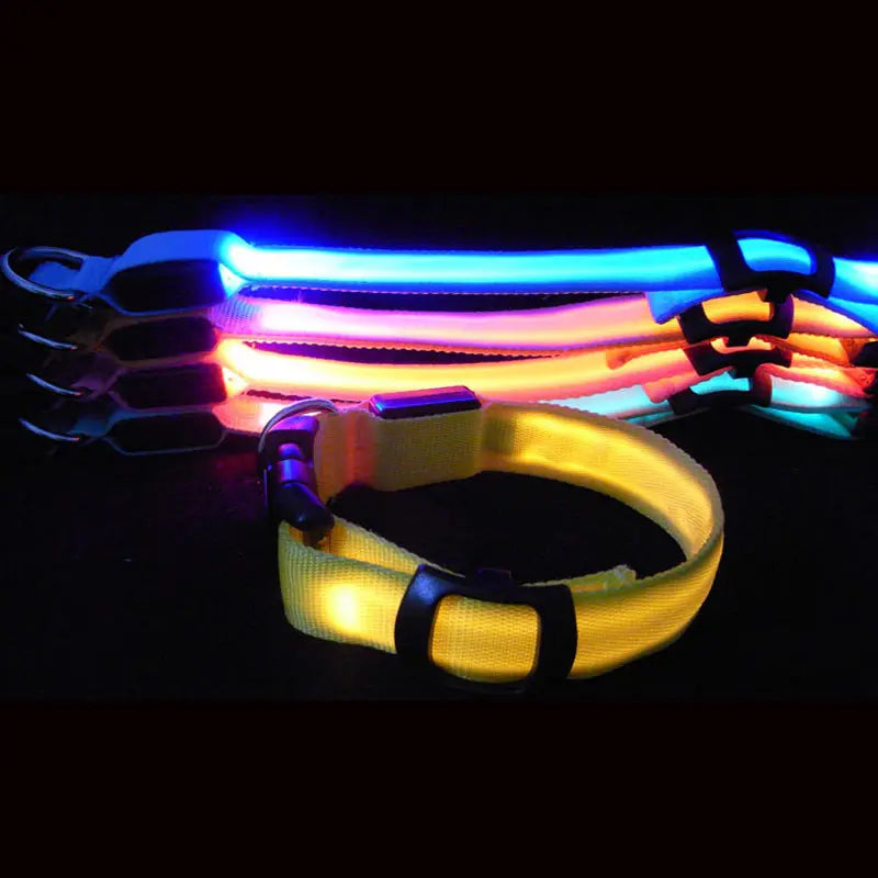 LED Dog Collar Light Big Cat Pet Small Charm Dark Night Safety Light-up Flashing USB Charge Anti Lost Nylon For Chihuahua Leash