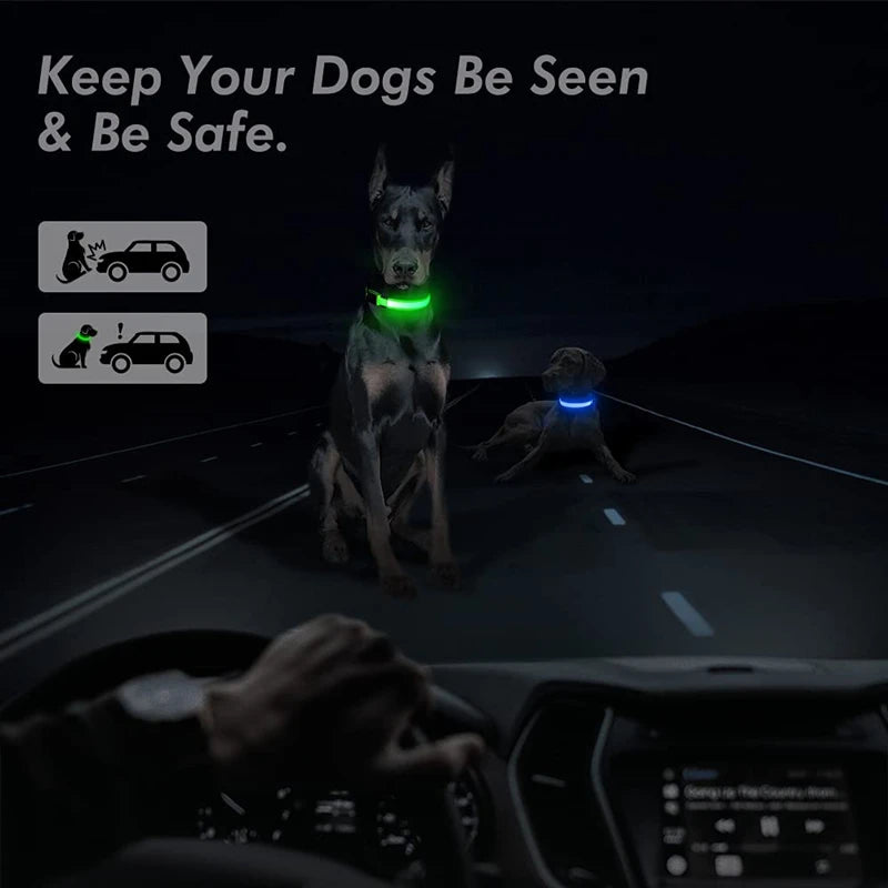 Led Glowing Dog Collar  Luminous Collar Adjustable Night Light  Harness Dog Leash For Girl Small Dogs Cat Pet Safety Accessories