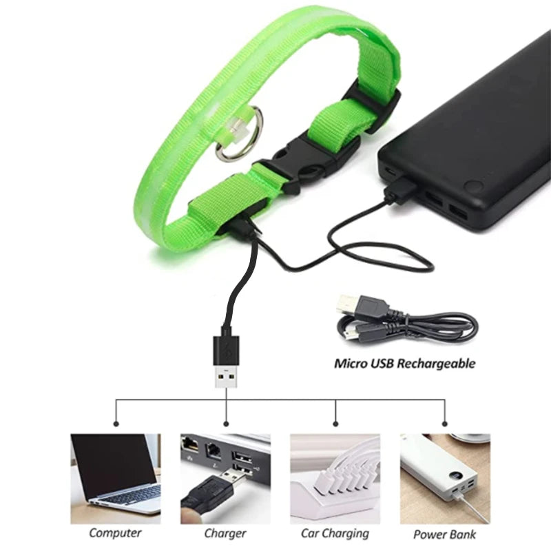 Led Glowing Dog Collar  Luminous Collar Adjustable Night Light  Harness Dog Leash For Girl Small Dogs Cat Pet Safety Accessories