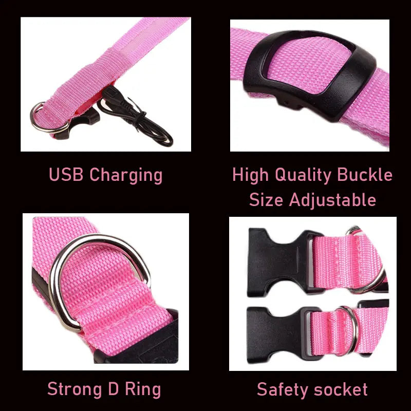 LED Dog Collar Light Big Cat Pet Small Charm Dark Night Safety Light-up Flashing USB Charge Anti Lost Nylon For Chihuahua Leash