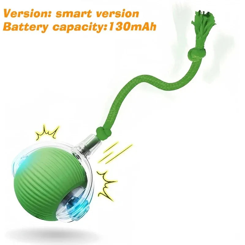 Hot Electric Dog Ball Toys Automatic Rolling Ball Rechargeable Smart Pet Interactive Plush Toy Dog Cat Training Imitate Mouse