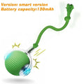 Hot Electric Dog Ball Toys Automatic Rolling Ball Rechargeable Smart Pet Interactive Plush Toy Dog Cat Training Imitate Mouse