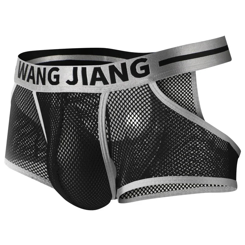 3PCS/2PCS/1PCS Men Mesh Hole Underwear Man Boxers Short Underpants Plus Size Transparent Panties