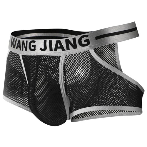 3PCS/2PCS/1PCS Men Mesh Hole Underwear Man Boxers Short Underpants Plus Size Transparent Panties