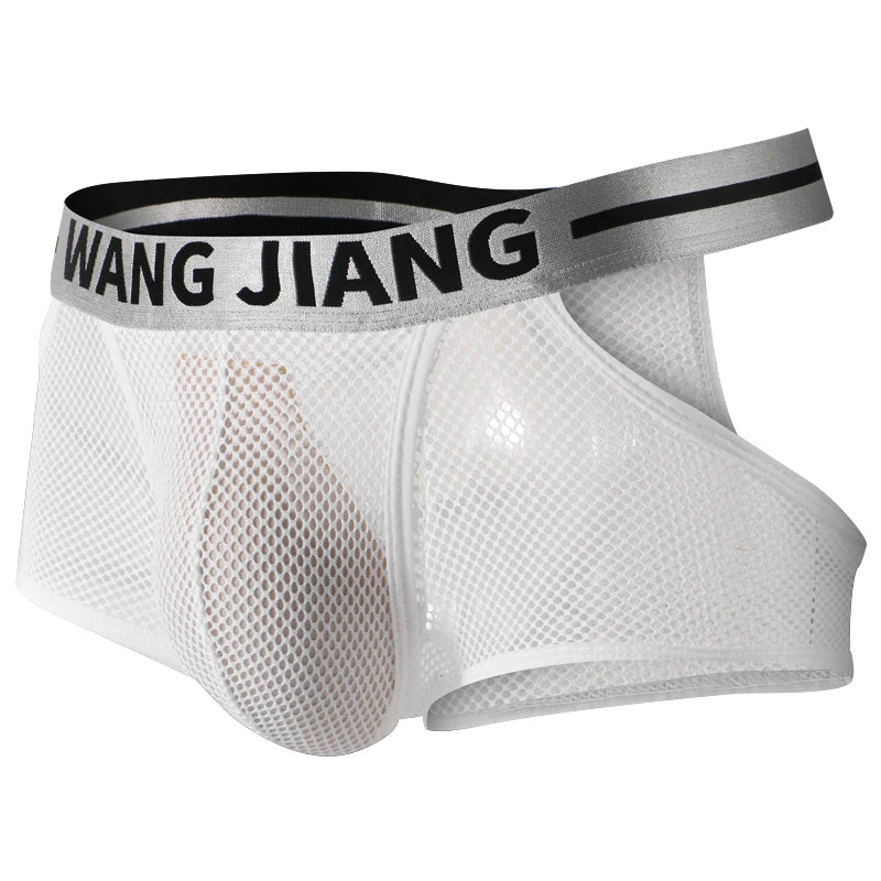 3PCS/2PCS/1PCS Men Mesh Hole Underwear Man Boxers Short Underpants Plus Size Transparent Panties