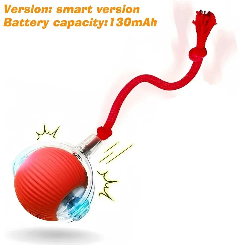 Hot Electric Dog Ball Toys Automatic Rolling Ball Rechargeable Smart Pet Interactive Plush Toy Dog Cat Training Imitate Mouse