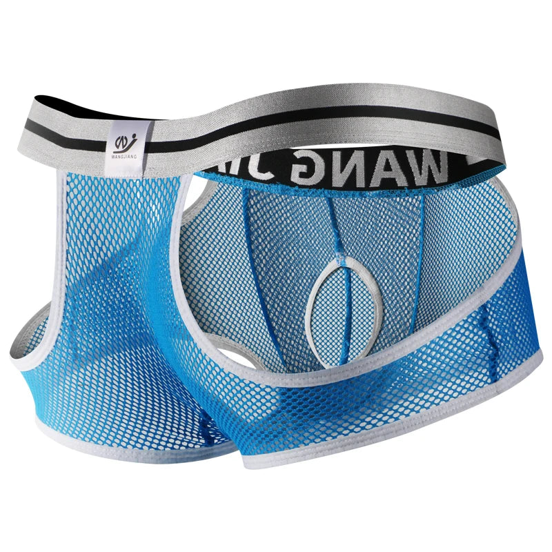 3PCS/2PCS/1PCS Men Mesh Hole Underwear Man Boxers Short Underpants Plus Size Transparent Panties