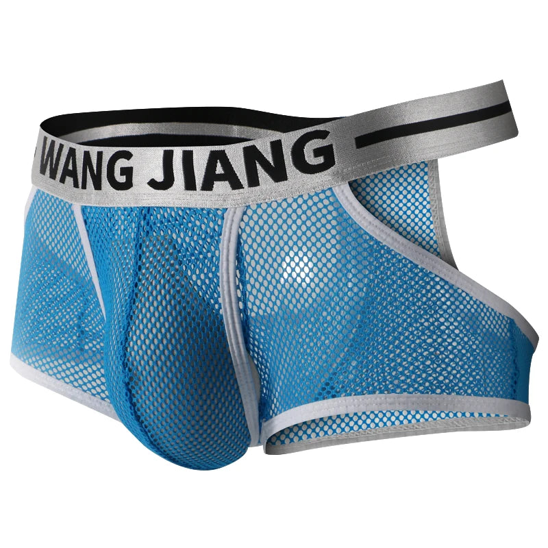 3PCS/2PCS/1PCS Men Mesh Hole Underwear Man Boxers Short Underpants Plus Size Transparent Panties