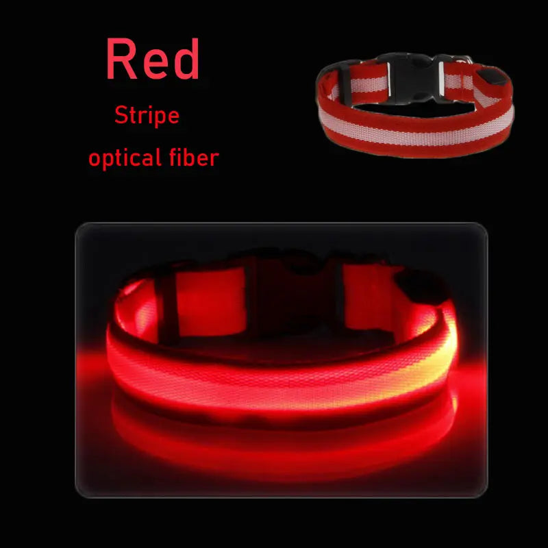 LED Dog Collar Light Big Cat Pet Small Charm Dark Night Safety Light-up Flashing USB Charge Anti Lost Nylon For Chihuahua Leash