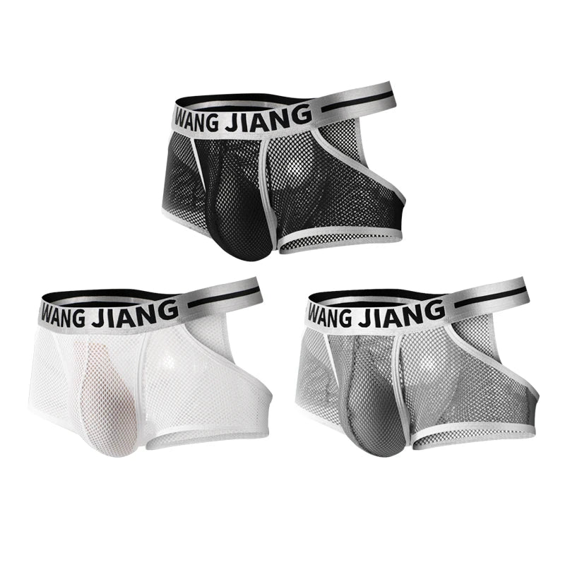3PCS/2PCS/1PCS Men Mesh Hole Underwear Man Boxers Short Underpants Plus Size Transparent Panties