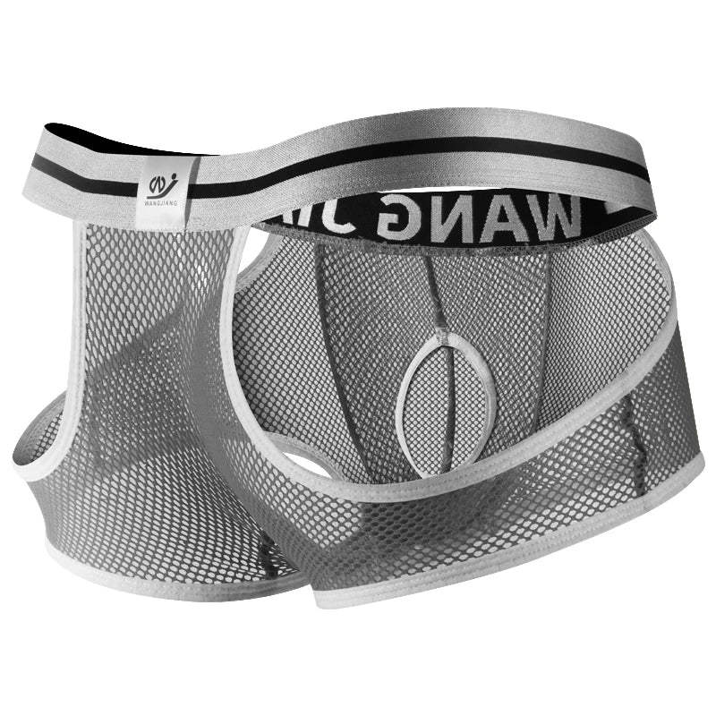 3PCS/2PCS/1PCS Men Mesh Hole Underwear Man Boxers Short Underpants Plus Size Transparent Panties