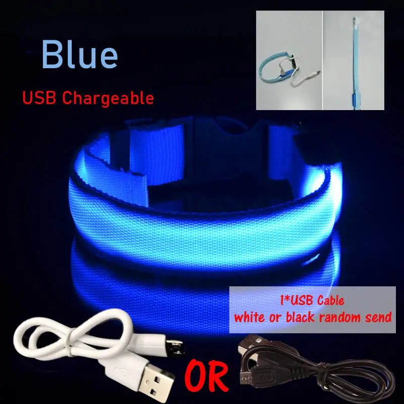 LED Dog Collar Light Big Cat Pet Small Charm Dark Night Safety Light-up Flashing USB Charge Anti Lost Nylon For Chihuahua Leash