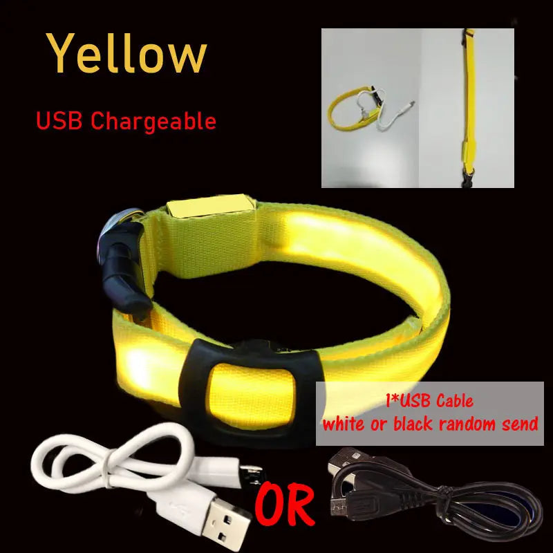 LED Dog Collar Light Big Cat Pet Small Charm Dark Night Safety Light-up Flashing USB Charge Anti Lost Nylon For Chihuahua Leash