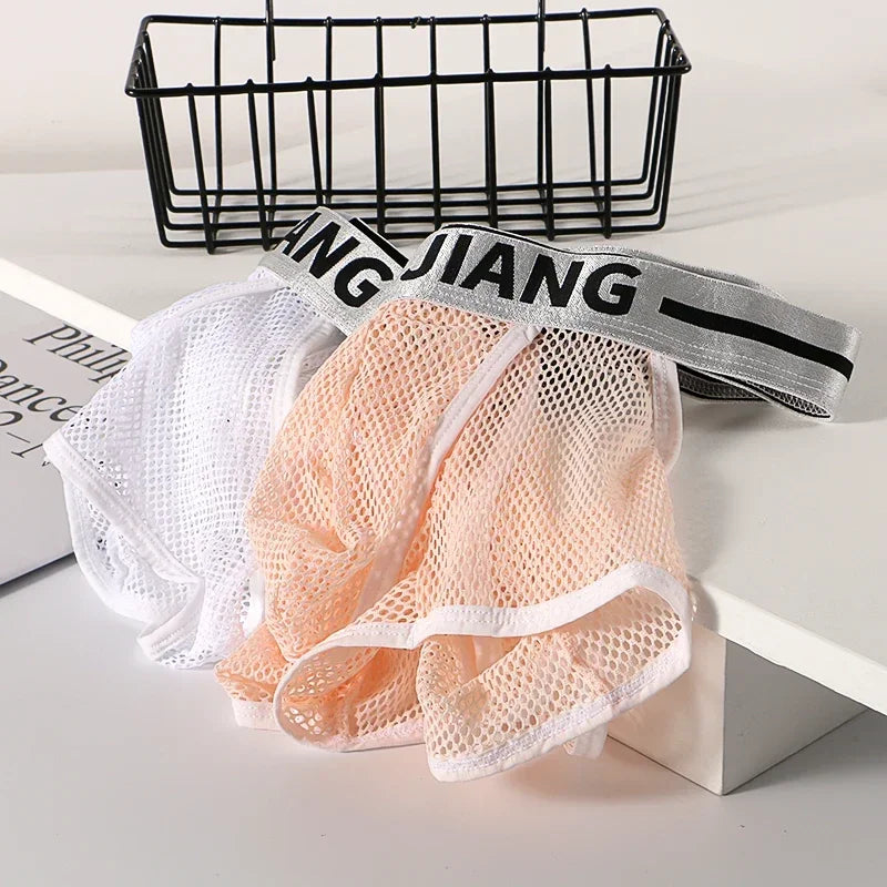 3PCS/2PCS/1PCS Men Mesh Hole Underwear Man Boxers Short Underpants Plus Size Transparent Panties