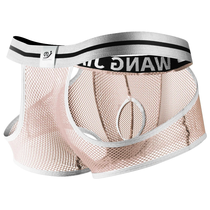 3PCS/2PCS/1PCS Men Mesh Hole Underwear Man Boxers Short Underpants Plus Size Transparent Panties