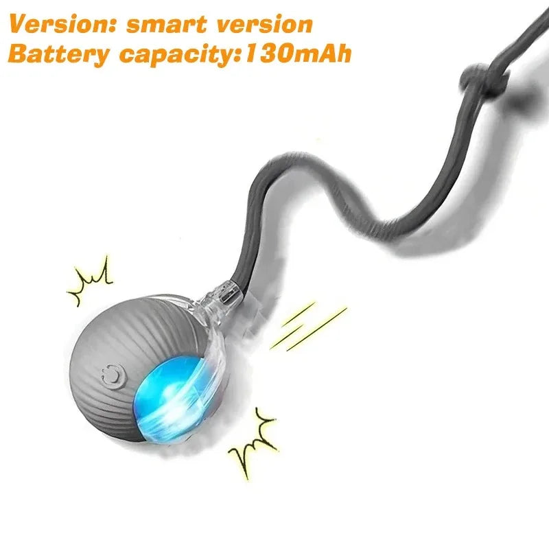 Hot Electric Dog Ball Toys Automatic Rolling Ball Rechargeable Smart Pet Interactive Plush Toy Dog Cat Training Imitate Mouse