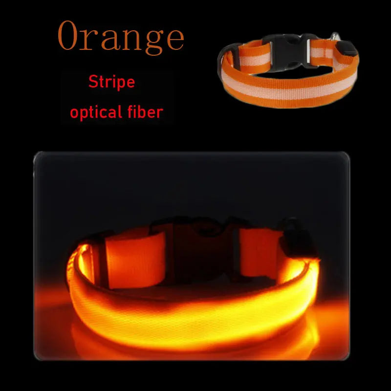 LED Dog Collar Light Big Cat Pet Small Charm Dark Night Safety Light-up Flashing USB Charge Anti Lost Nylon For Chihuahua Leash