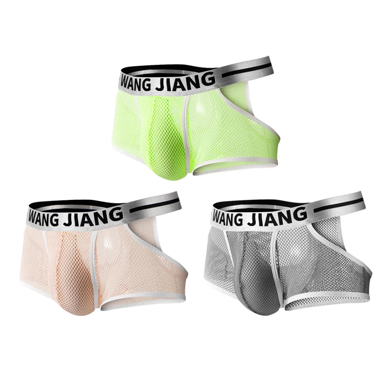3PCS/2PCS/1PCS Men Mesh Hole Underwear Man Boxers Short Underpants Plus Size Transparent Panties
