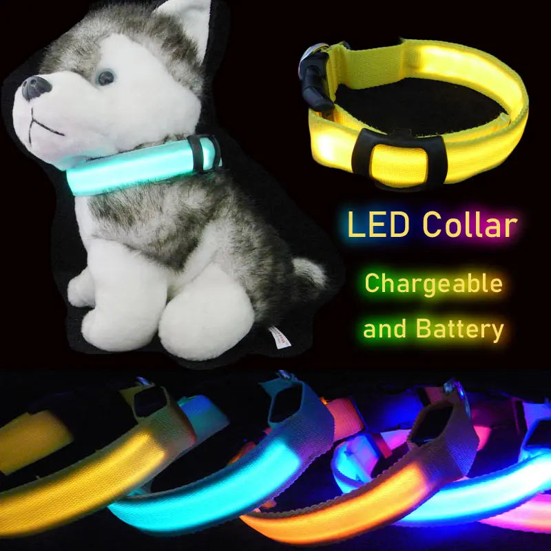 LED Dog Collar Light Big Cat Pet Small Charm Dark Night Safety Light-up Flashing USB Charge Anti Lost Nylon For Chihuahua Leash