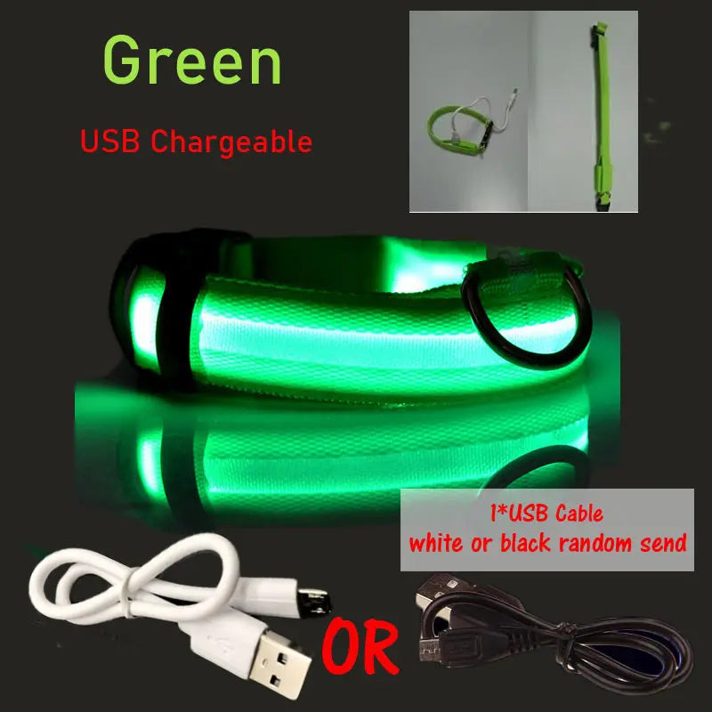 LED Dog Collar Light Big Cat Pet Small Charm Dark Night Safety Light-up Flashing USB Charge Anti Lost Nylon For Chihuahua Leash