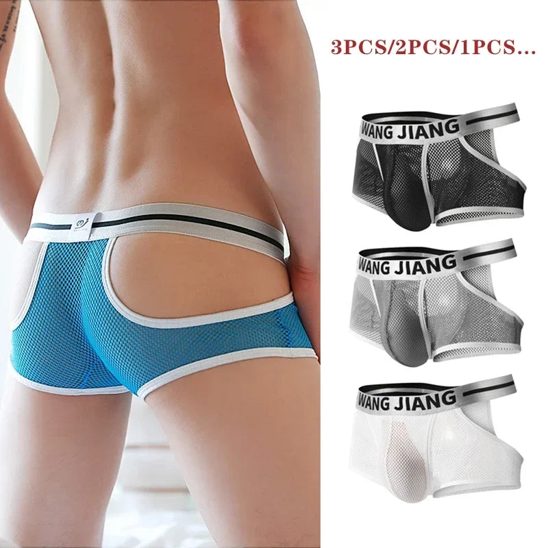 3PCS/2PCS/1PCS Men Mesh Hole Underwear Man Boxers Short Underpants Plus Size Transparent Panties