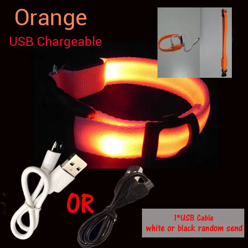 LED Dog Collar Light Big Cat Pet Small Charm Dark Night Safety Light-up Flashing USB Charge Anti Lost Nylon For Chihuahua Leash