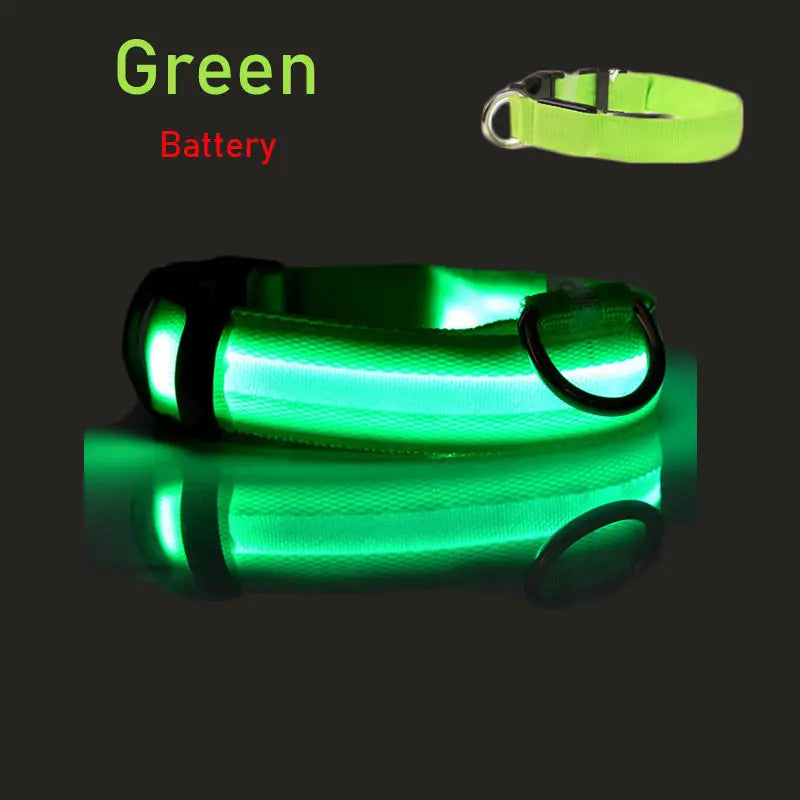 LED Dog Collar Light Big Cat Pet Small Charm Dark Night Safety Light-up Flashing USB Charge Anti Lost Nylon For Chihuahua Leash