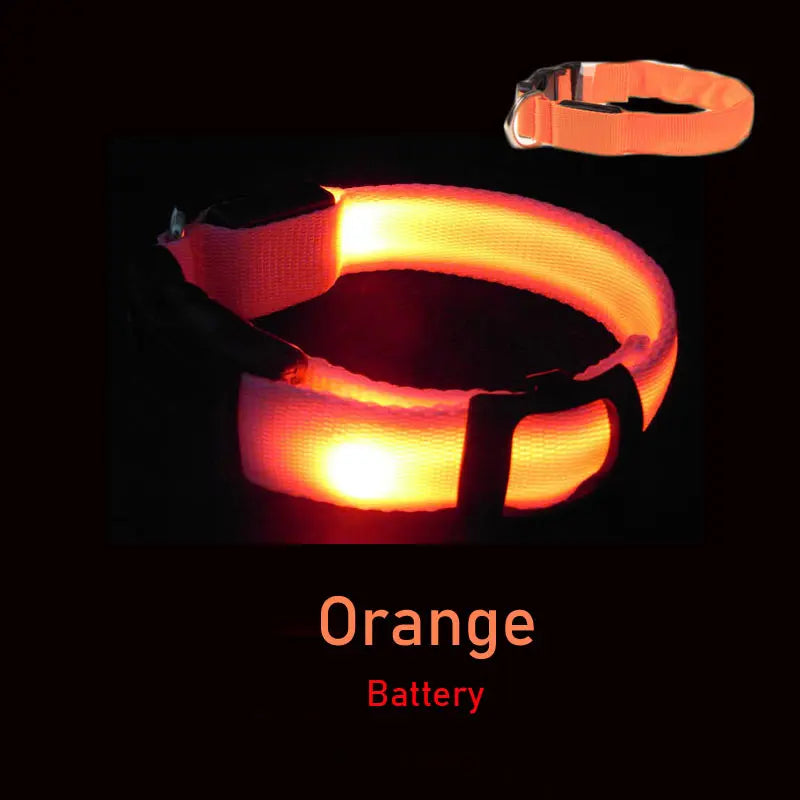 LED Dog Collar Light Big Cat Pet Small Charm Dark Night Safety Light-up Flashing USB Charge Anti Lost Nylon For Chihuahua Leash