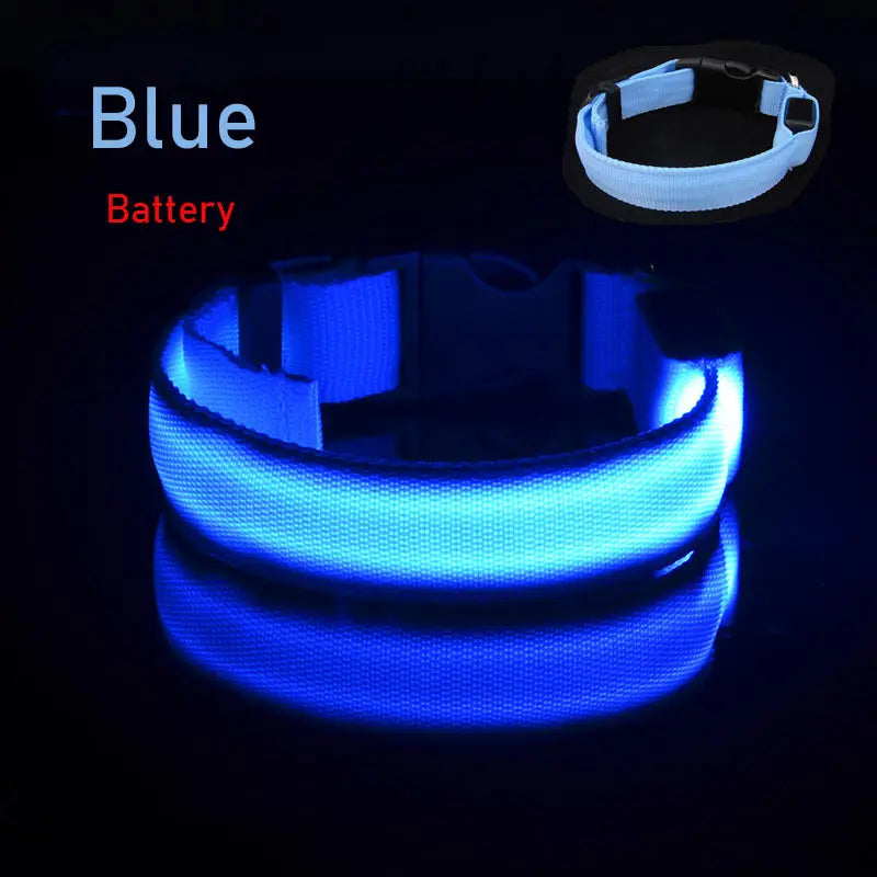 LED Dog Collar Light Big Cat Pet Small Charm Dark Night Safety Light-up Flashing USB Charge Anti Lost Nylon For Chihuahua Leash