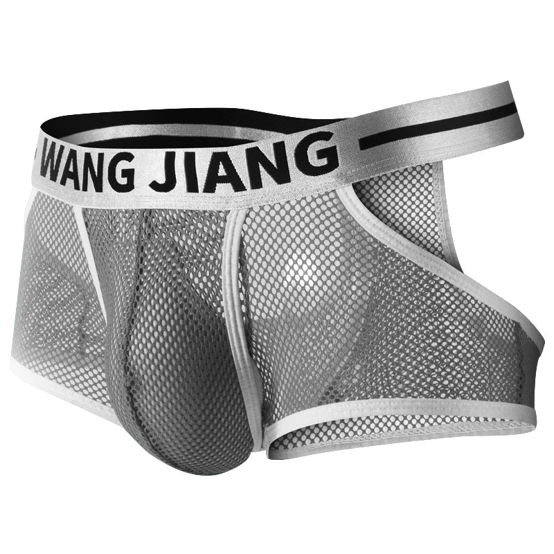 3PCS/2PCS/1PCS Men Mesh Hole Underwear Man Boxers Short Underpants Plus Size Transparent Panties