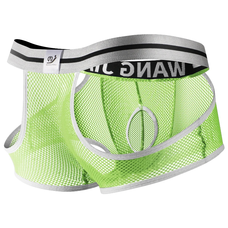 3PCS/2PCS/1PCS Men Mesh Hole Underwear Man Boxers Short Underpants Plus Size Transparent Panties