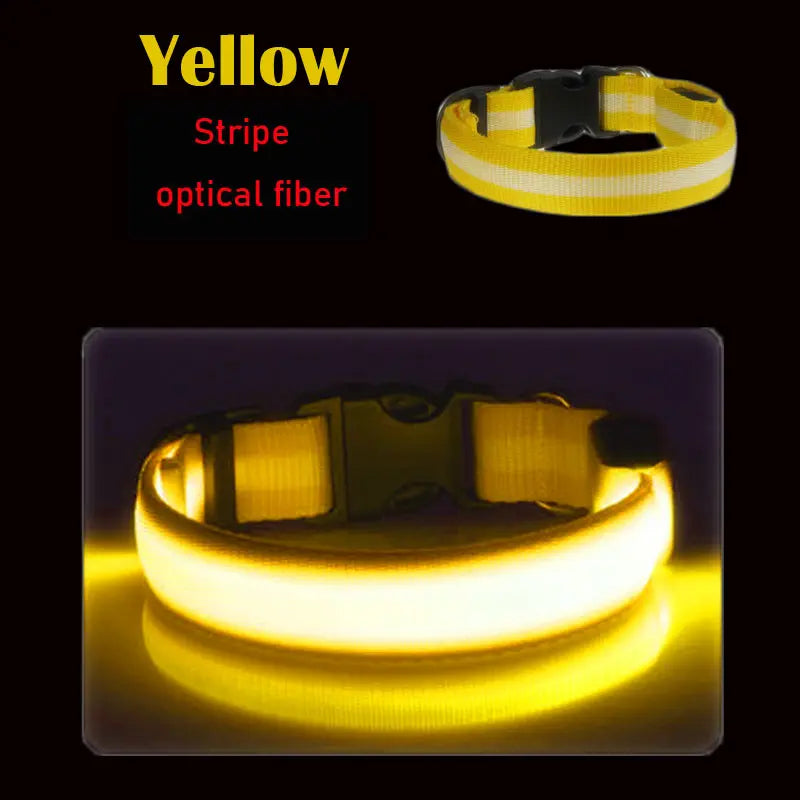 LED Dog Collar Light Big Cat Pet Small Charm Dark Night Safety Light-up Flashing USB Charge Anti Lost Nylon For Chihuahua Leash