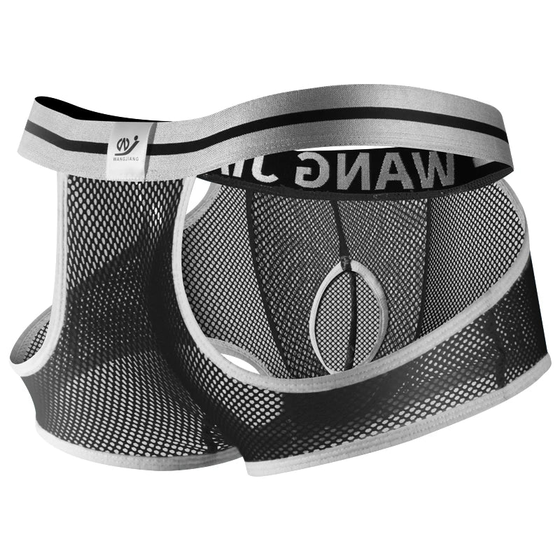3PCS/2PCS/1PCS Men Mesh Hole Underwear Man Boxers Short Underpants Plus Size Transparent Panties