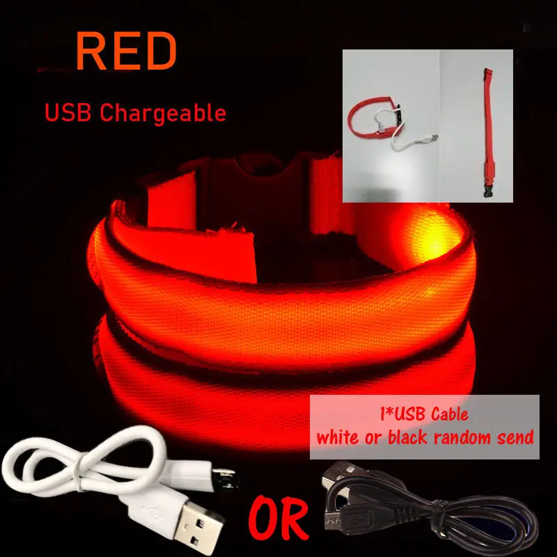 LED Dog Collar Light Big Cat Pet Small Charm Dark Night Safety Light-up Flashing USB Charge Anti Lost Nylon For Chihuahua Leash
