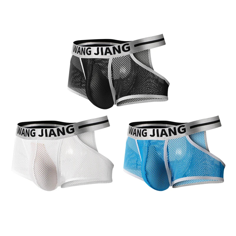 3PCS/2PCS/1PCS Men Mesh Hole Underwear Man Boxers Short Underpants Plus Size Transparent Panties