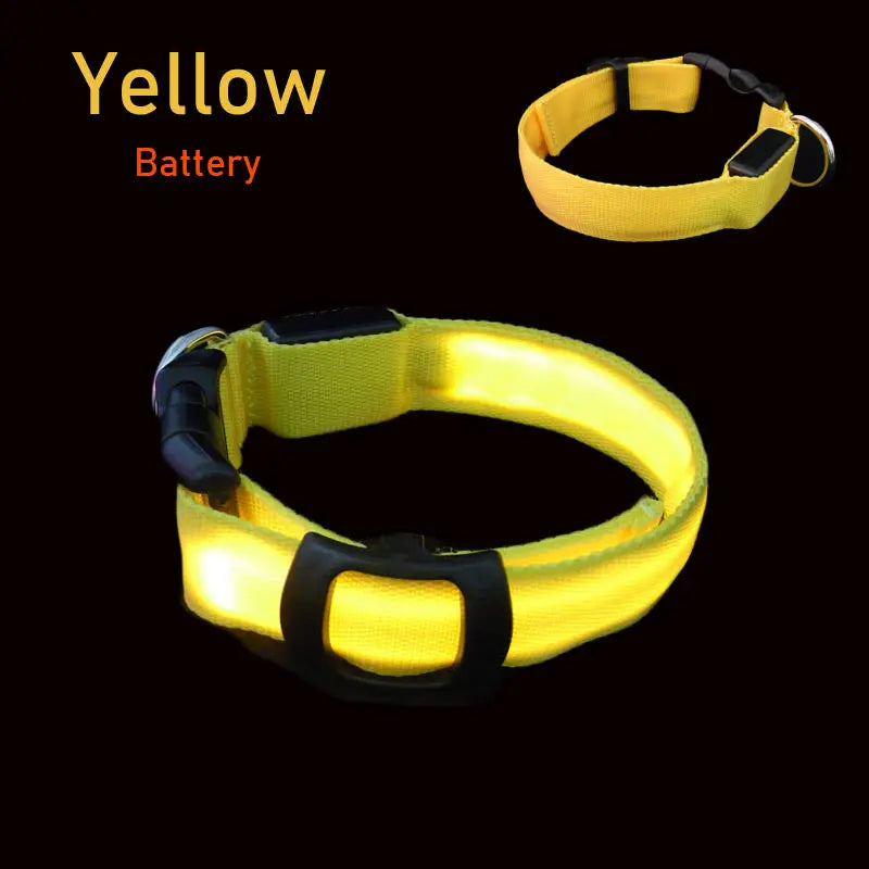LED Dog Collar Light Big Cat Pet Small Charm Dark Night Safety Light-up Flashing USB Charge Anti Lost Nylon For Chihuahua Leash