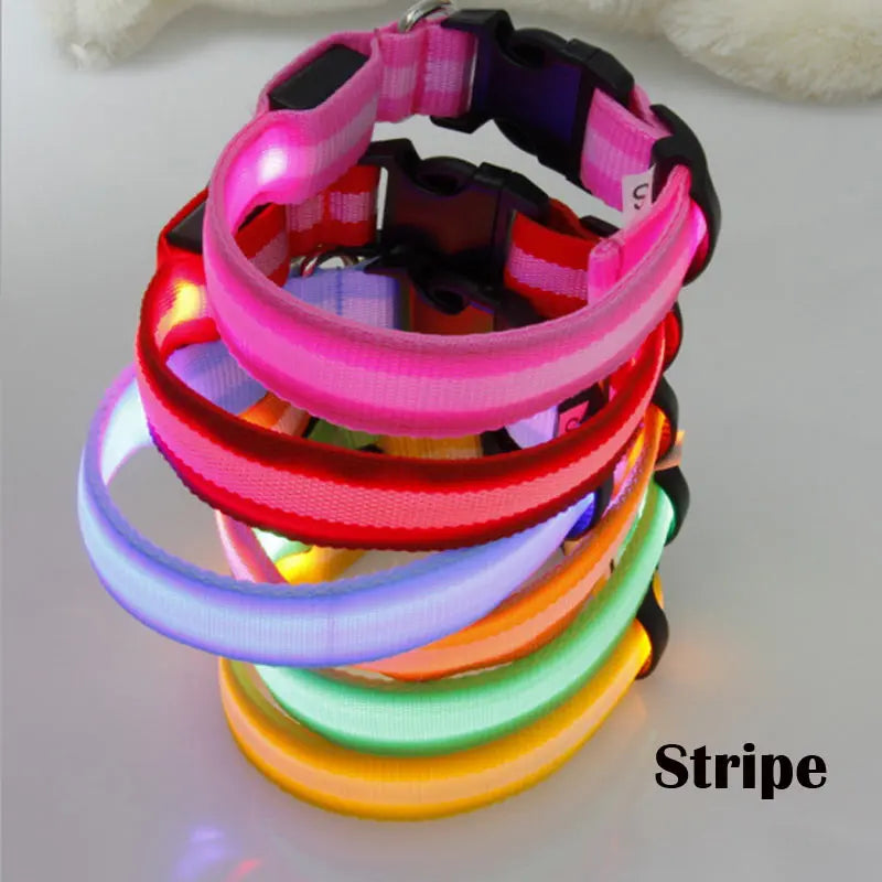 LED Dog Collar Light Big Cat Pet Small Charm Dark Night Safety Light-up Flashing USB Charge Anti Lost Nylon For Chihuahua Leash