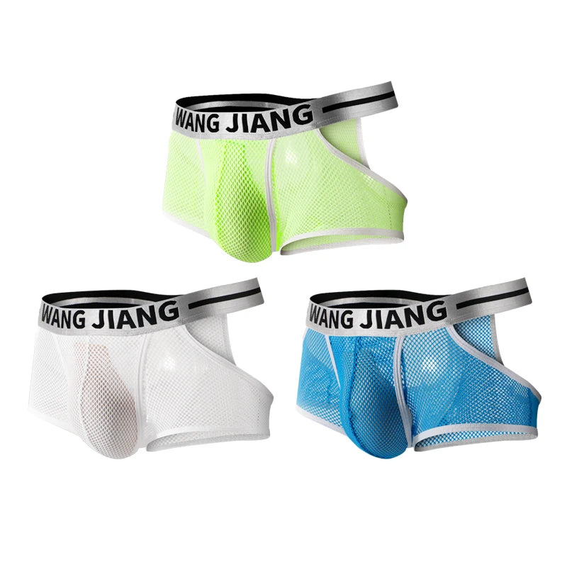 3PCS/2PCS/1PCS Men Mesh Hole Underwear Man Boxers Short Underpants Plus Size Transparent Panties