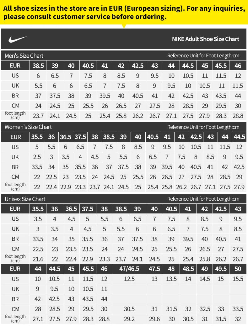 Nike Authentic COURT VISION Men's Retro Low-Top Casual Sneakers HV8139-700