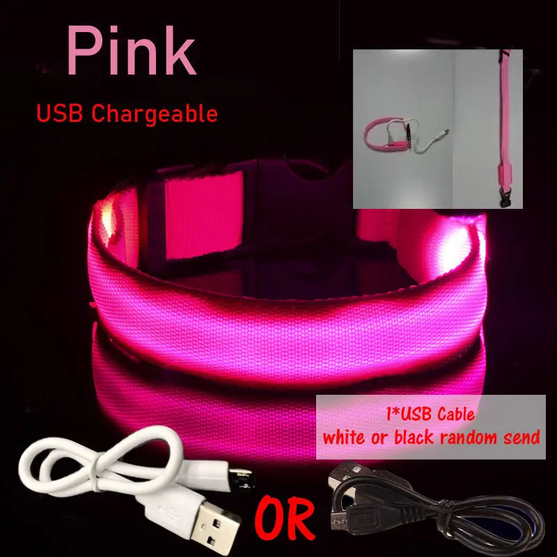 LED Dog Collar Light Big Cat Pet Small Charm Dark Night Safety Light-up Flashing USB Charge Anti Lost Nylon For Chihuahua Leash