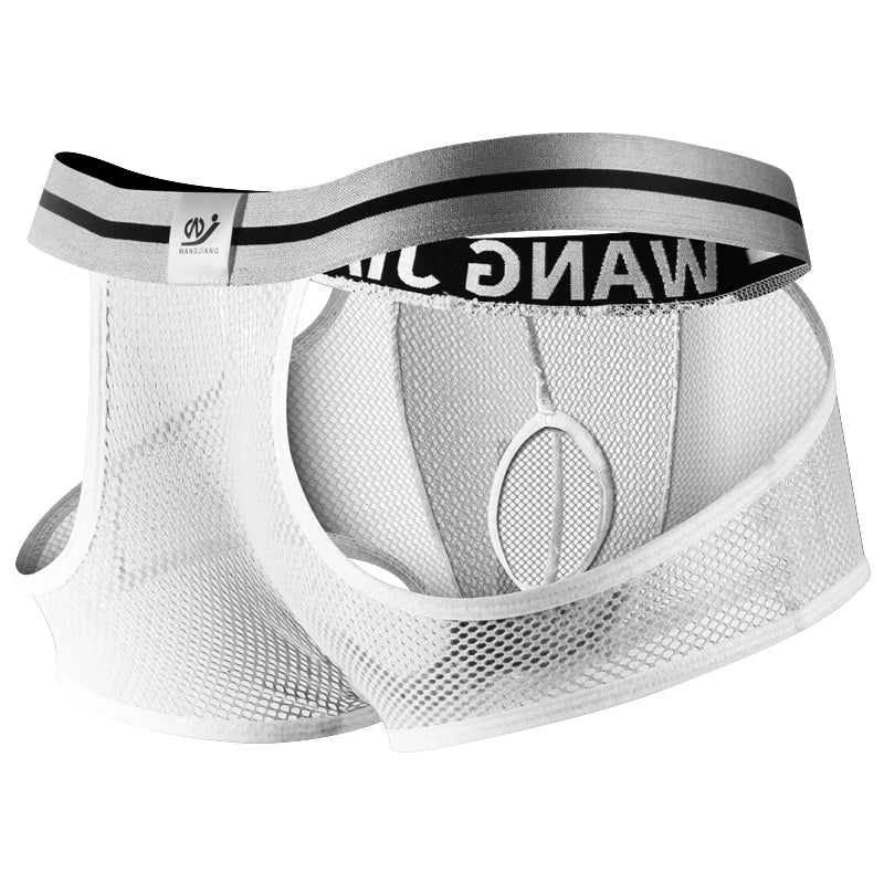 3PCS/2PCS/1PCS Men Mesh Hole Underwear Man Boxers Short Underpants Plus Size Transparent Panties